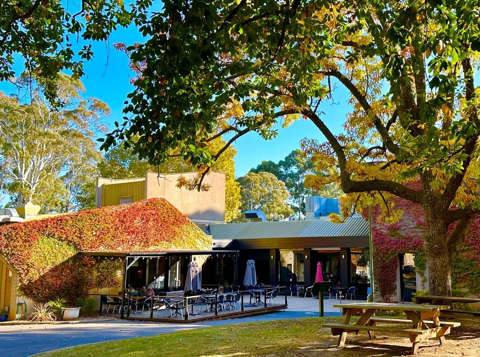 The Grand Oaks Resort Бийчуърт Екстериор снимка